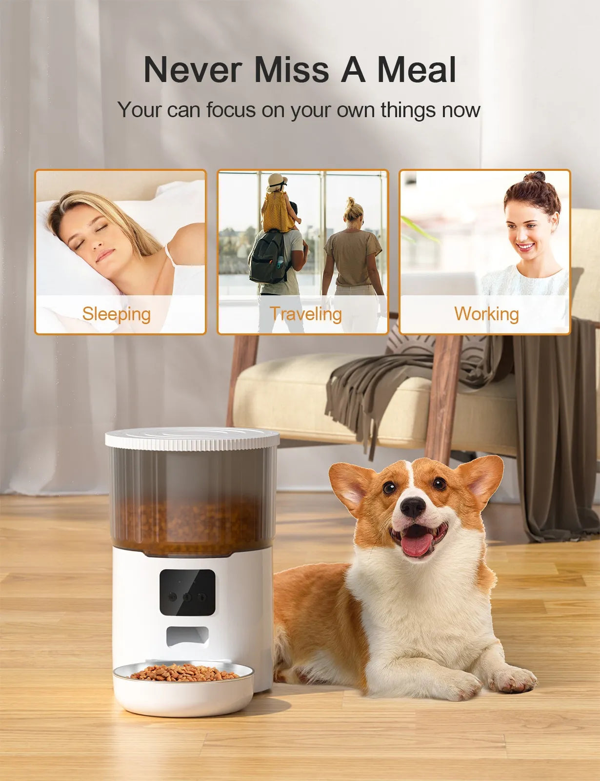Cat Smart Dog Automatic Feeder