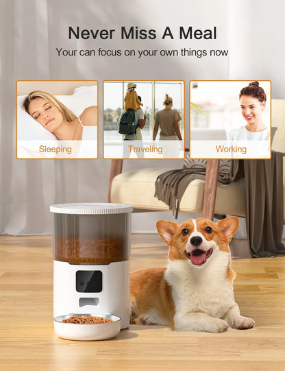 Cat Smart Dog Automatic Feeder