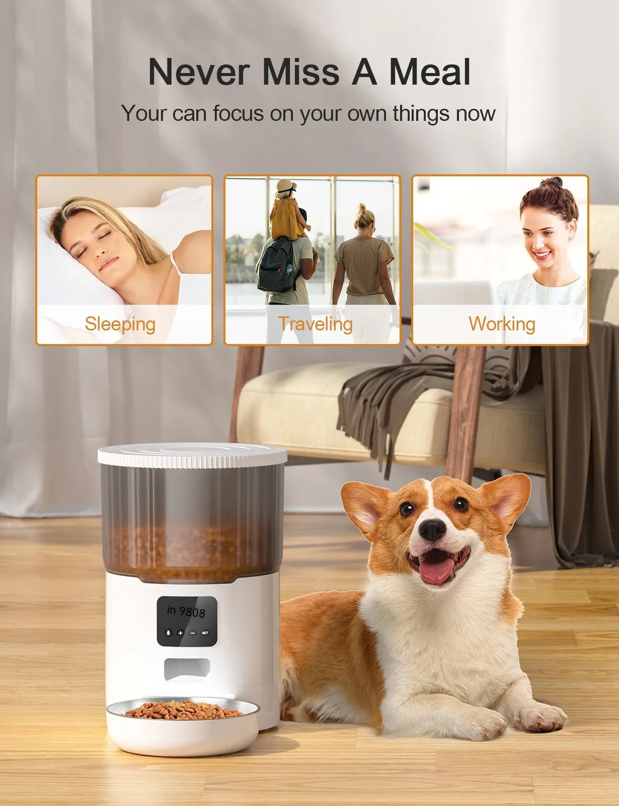 Cat Smart Dog Automatic Feeder