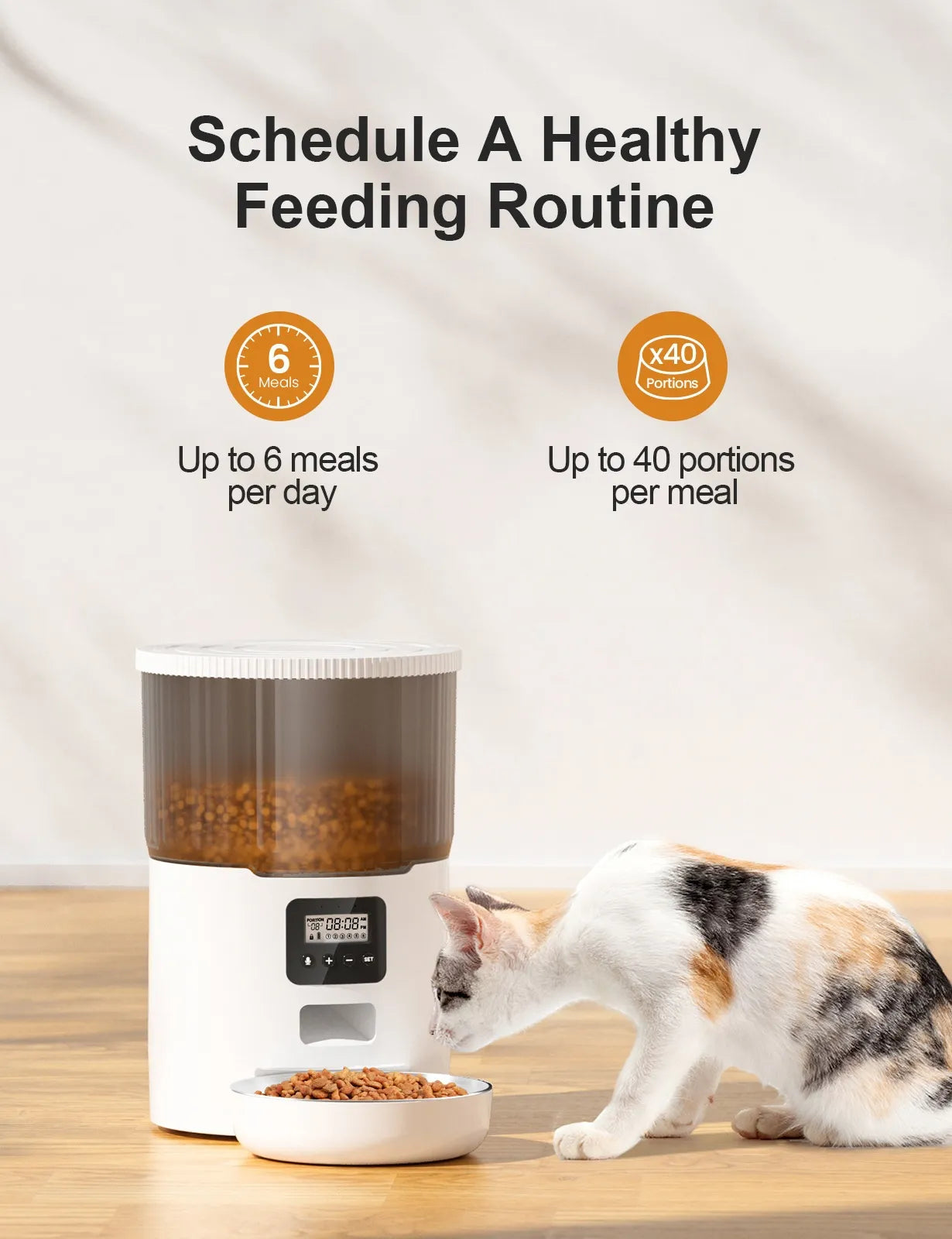 Cat Smart Dog Automatic Feeder