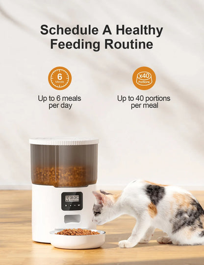 Cat Smart Dog Automatic Feeder